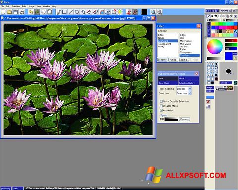 Zrzut ekranu Pixia na Windows XP