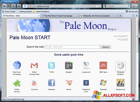 Zrzut ekranu Pale Moon na Windows XP