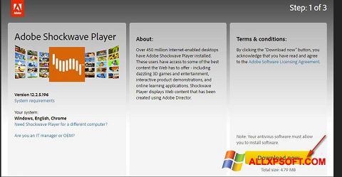 Zrzut ekranu Adobe Shockwave Player na Windows XP