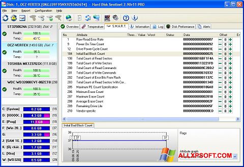 Zrzut ekranu Hard Disk Sentinel na Windows XP
