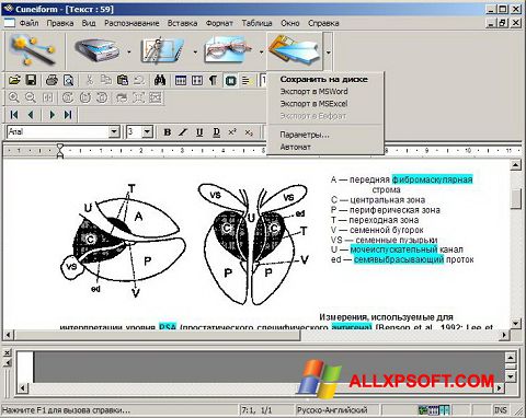 Zrzut ekranu CuneiForm na Windows XP