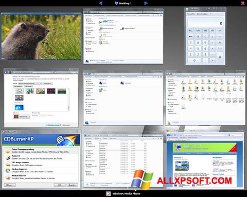 Zrzut ekranu Dexpot na Windows XP