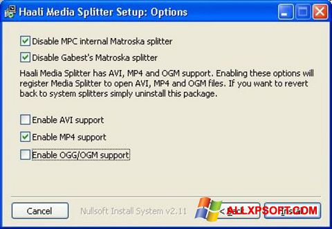 Zrzut ekranu Haali Media Splitter na Windows XP