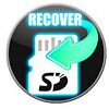 F-Recovery SD na Windows XP