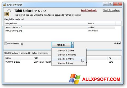 Zrzut ekranu IObit Unlocker na Windows XP