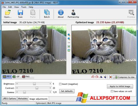 Zrzut ekranu RIOT na Windows XP