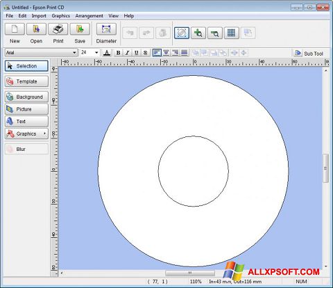 Zrzut ekranu EPSON Print CD na Windows XP