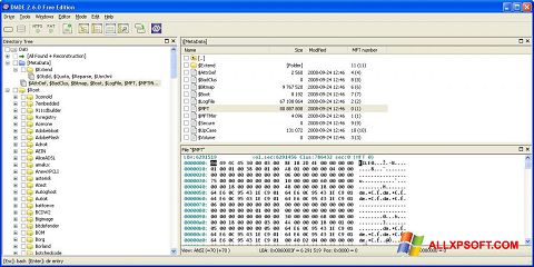 Zrzut ekranu DMDE na Windows XP